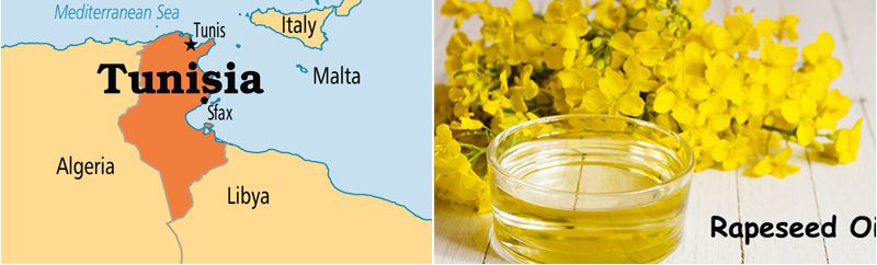 Tunisia rapseed oil production cost