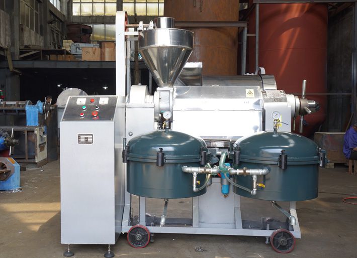 automatic prickly pear seed oil machine for sales