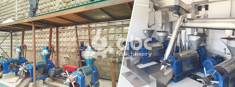 peanut cold press oil machine for home use