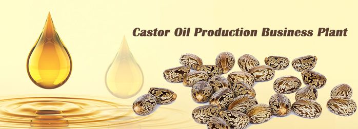 castor oil production business plan