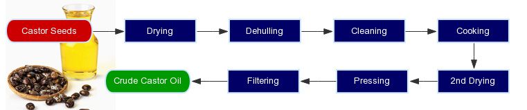castor oil production process -mechnical pressing