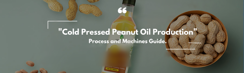 cold press oil extraction machine for sale