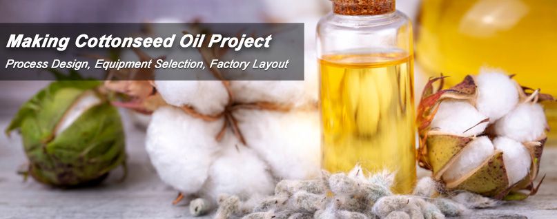 cotton seed oil extracted from cotton seeds
