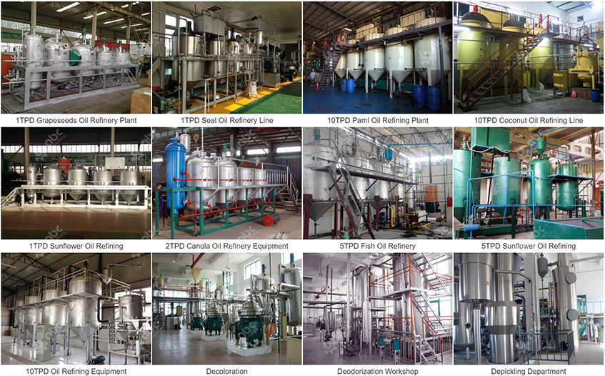 edible oil refining project supplier 