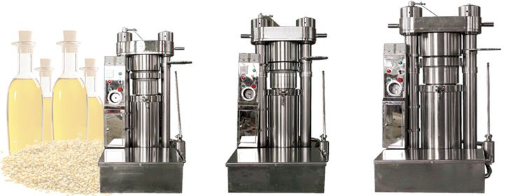 hydraulic sesame oil press machine