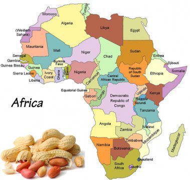 How Much Will Cost to Setup a Groundnut Oil Processing Mill in Africa?