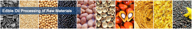 Various Oil Seeds & Nuts Processing Made Easy