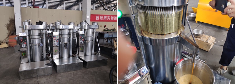 cold press oil machine price in india