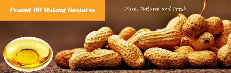 start peanut oil making business at low cost