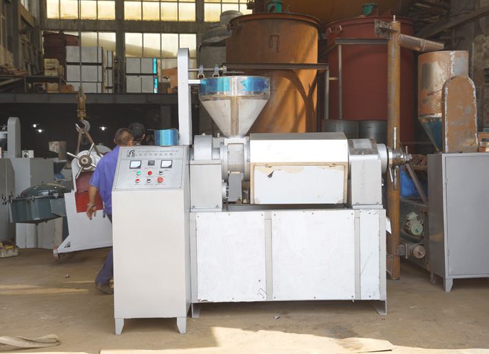 prickly pear seed oil machine at factory price