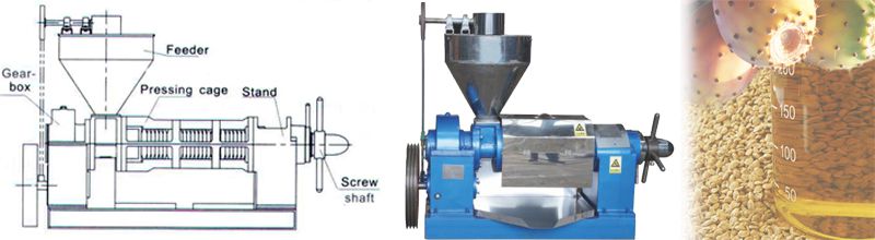 prickly pear seed oil press machine structure