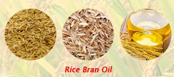 rice bran oil