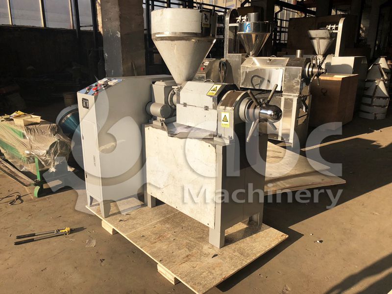 rosehip seed screw oil press machine to Albania