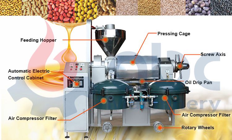 sesame oil press machine at factory price