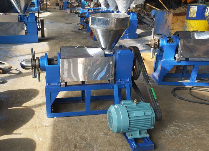 small prickly pear seed oil press machine at factory