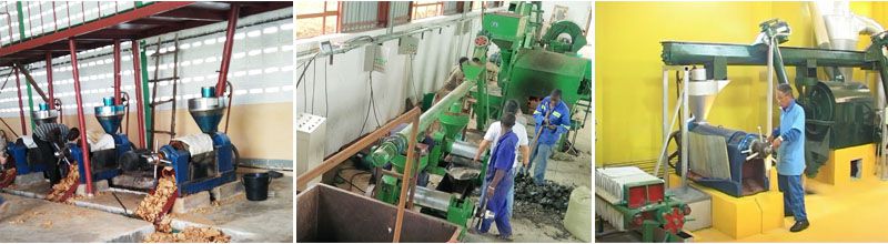 small scale soybean oil extraction plant