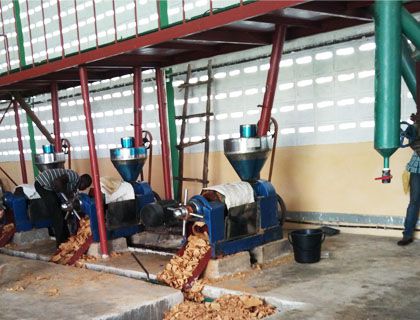 15TPD Soya/Peanut Oil Pressing & 3TPD Oil Refining Line in Togo 