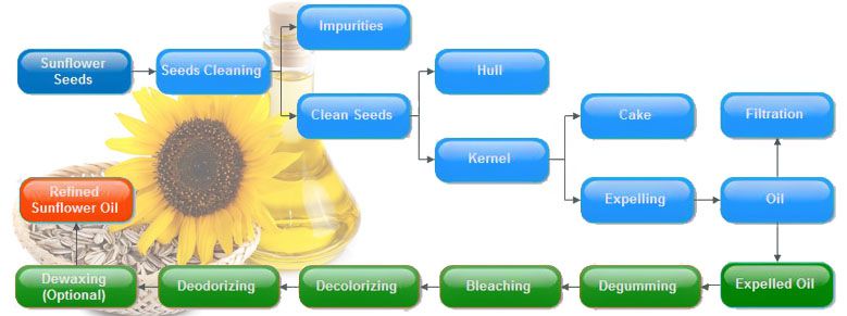 sunflower oil expelling process