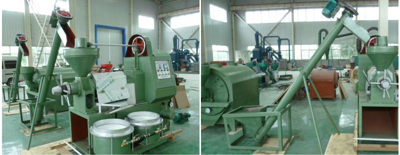 5tpd mini rice bran oil mill plant to Thailand