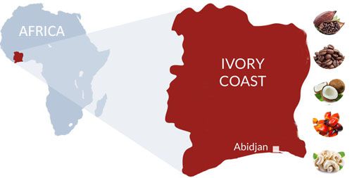 oil crops of Ivory Coast