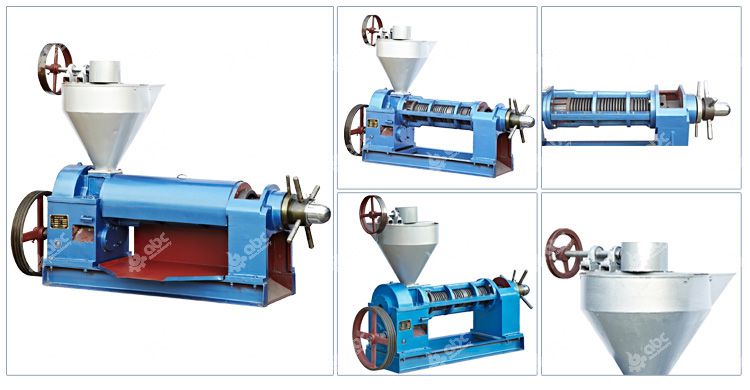 niger seed oil press machine for sales
