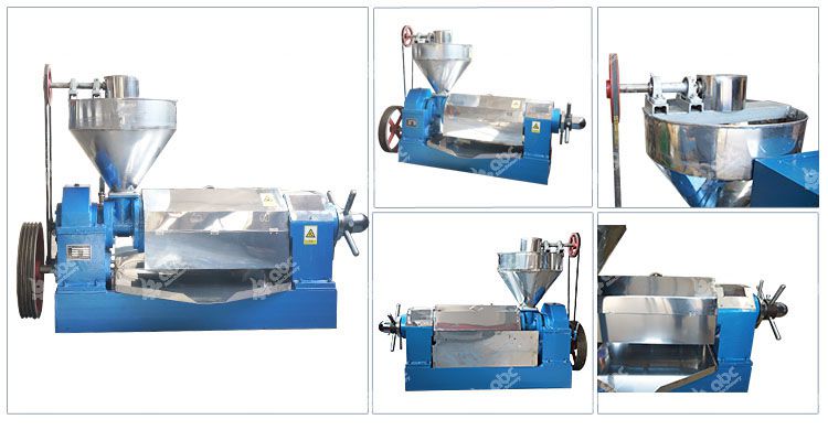 canola oil press machine for sales