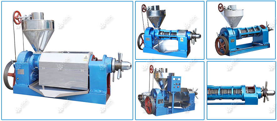 mini oil press machine at factory price