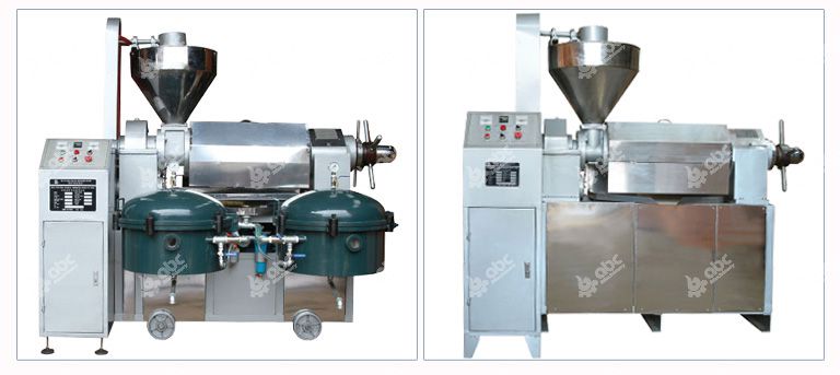 automatic oil press machine at factory price