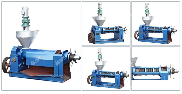 YZS-150 screw oil press machine