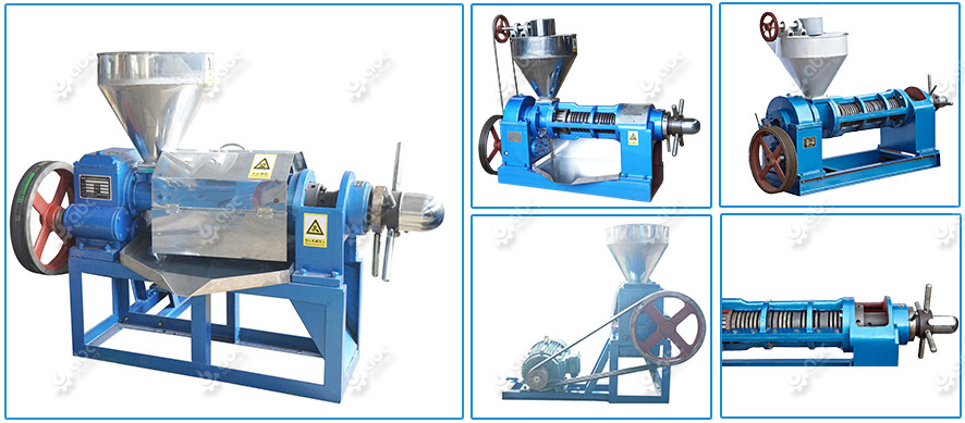 soybean oil press machine at factory price