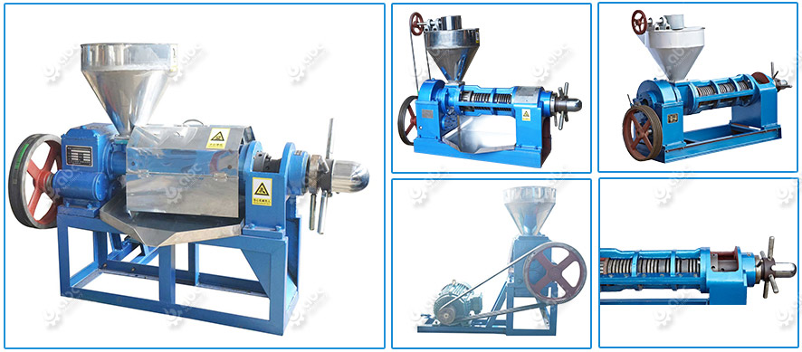 Cold Press Oil Extraction Machine Ground Nut Oil Pressing Machine Soybean  Oil Press Machine - China Oil Expeller, Oil Presser