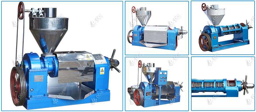 peanut oil press machine