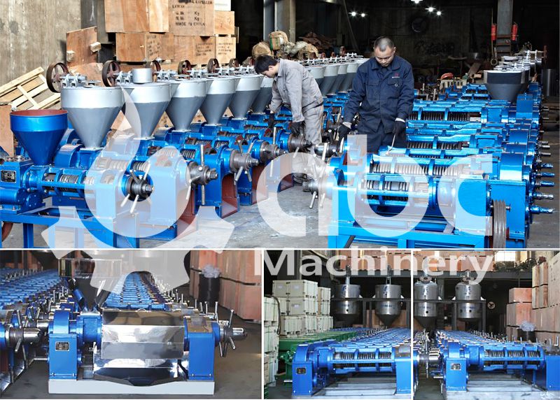 best oil press machine manufacturer