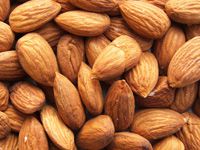 almond for oil production