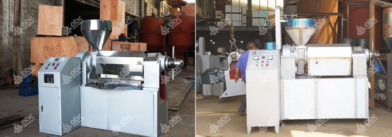 factory price auto-temperature control oil press for hemp seed oil