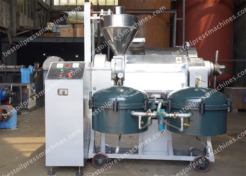almond oil press machine at factory price for sale