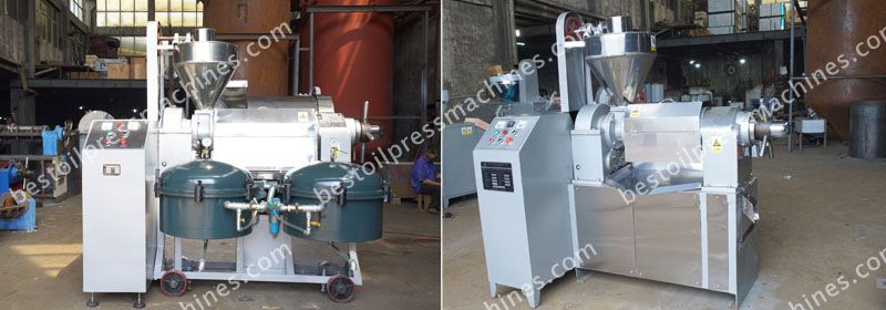 low price automatic mustard oil machine for sales