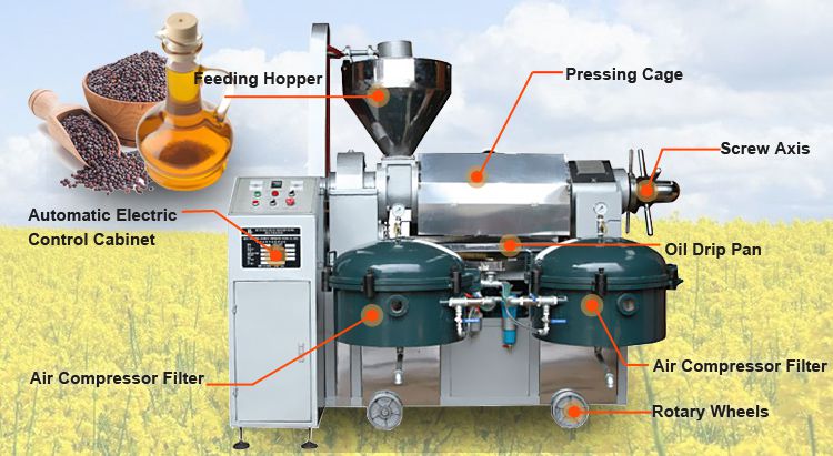 automatic mustard oil machine at factory price