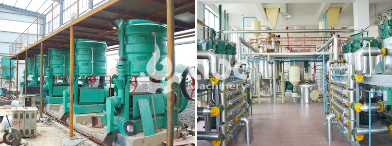 ABC Machinery global cooking oil mill plant project report