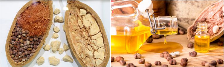 baobab oil uses and benefits