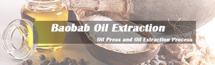 Baobab Seeds Oil Press Machine
