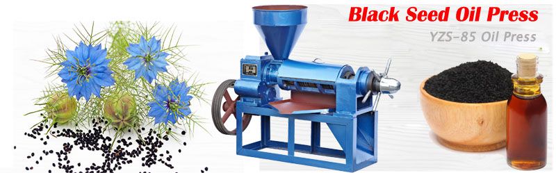 low price black seed oil press