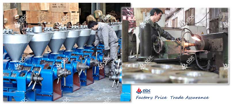 cost-effective oil extraction machine for home use india