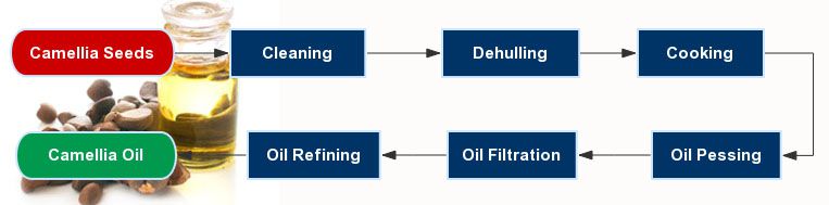 how to make camellia oil