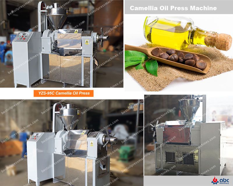 best camellia oil press machine at factory price