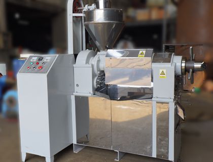 Camellia Oil Press Machine