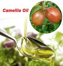 camellia oil