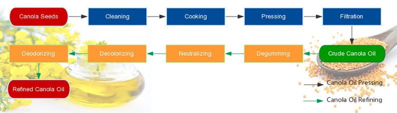 canola oil production process