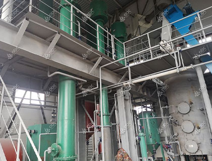 50TPD Canola/Rapeseed Oil Processing Plant Setup in Russia
