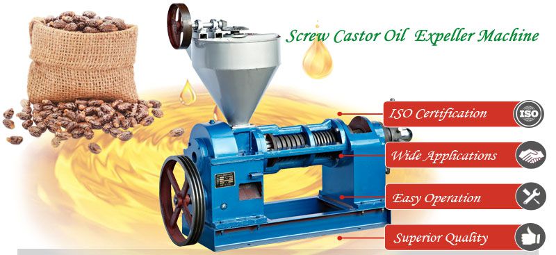 small screw castor oil expeller machine at factory price